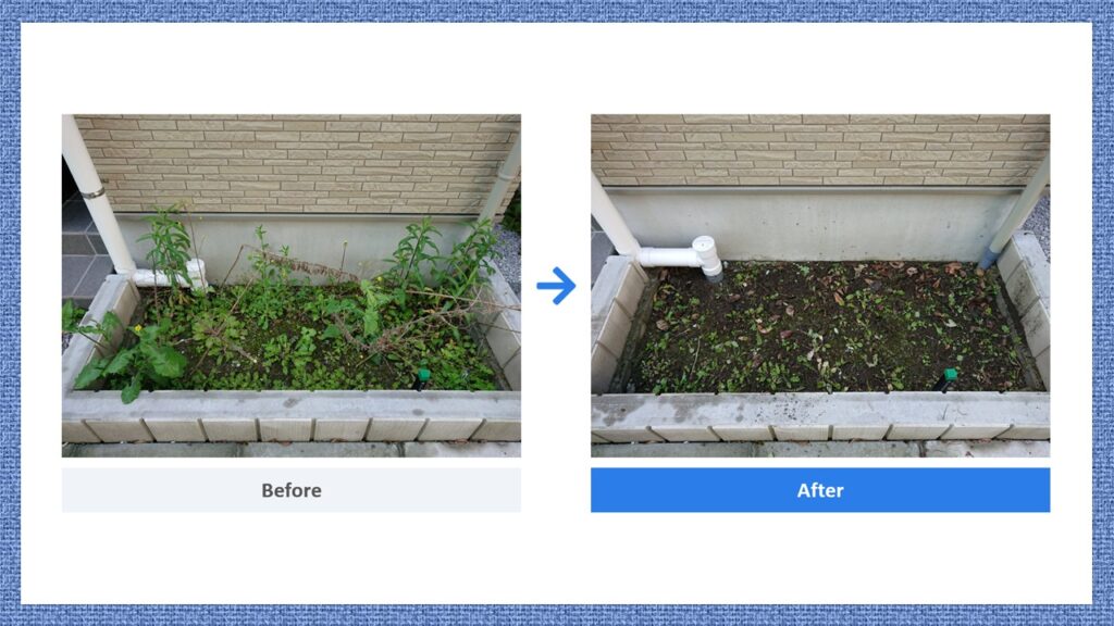 除草前後_before_after.jpg
敷地内の花壇の除草ビフォーアフター。雑草が生い茂っていた花壇を刈り取り、すっきりした土面に整備した比較写真